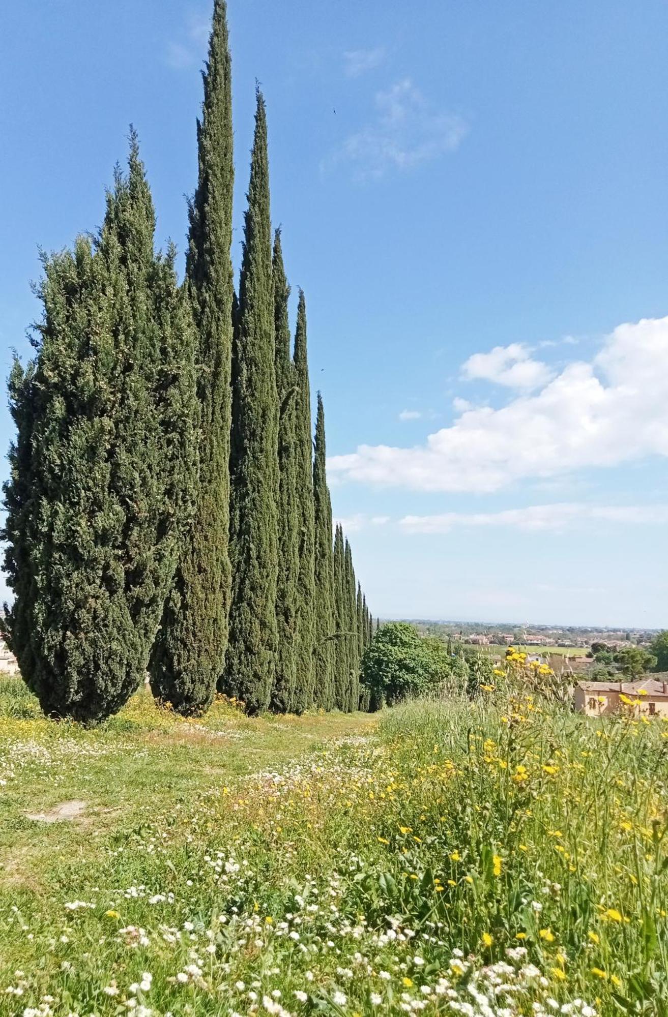 Casalice Apartment SantʼArcangelo di Romagna Exterior foto